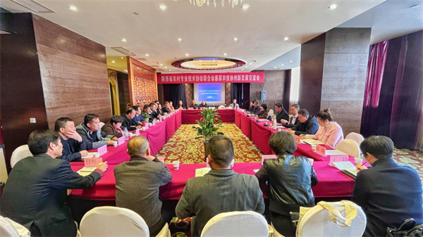 图片 1.png